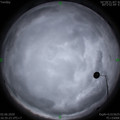 1591090533.jpg