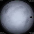 1591096401.jpg