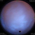 1591114305.jpg