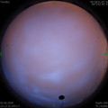 1591114440.jpg