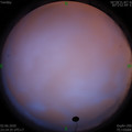 1591114500.jpg