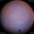 1591114560.jpg