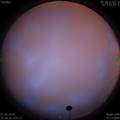 1591114620.jpg