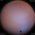 1591115055.jpg