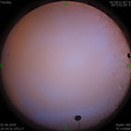 1591115115.jpg