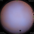 1591115175.jpg