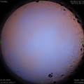 1591115415.jpg