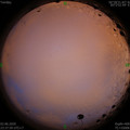 1591115896.jpg