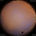 1591116016.jpg