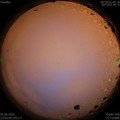 1591116631.jpg