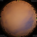 1591126116.jpg