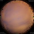 1591126446.jpg