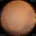 1591126806.jpg