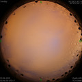 1591126866.jpg