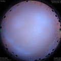 1591129477.jpg