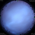 1591129883.jpg