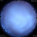 1591130243.jpg