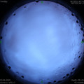 1591130438.jpg