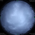 1591135075.jpg