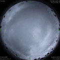 1591140433.jpg