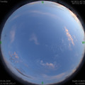 1591195345.jpg