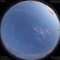 1591195525.jpg