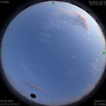 1591196065.jpg
