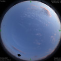 1591196125.jpg