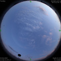 1591196305.jpg