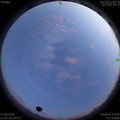 1591196545.jpg