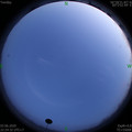 1591197881.jpg