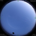 1591197956.jpg