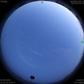 1591198436.jpg