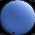 1591198496.jpg