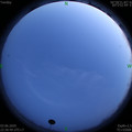 1591198616.jpg