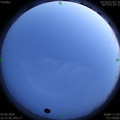 1591198676.jpg