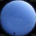 1591198737.jpg