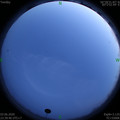 1591198797.jpg