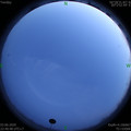 1591198857.jpg