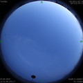 1591198917.jpg