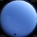 1591198992.jpg