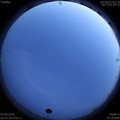 1591199052.jpg