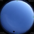 1591199112.jpg