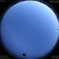 1591199172.jpg
