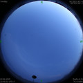 1591199232.jpg