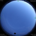 1591199352.jpg