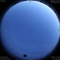 1591199412.jpg