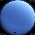 1591199472.jpg