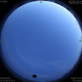 1591199532.jpg