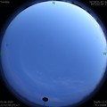 1591199592.jpg